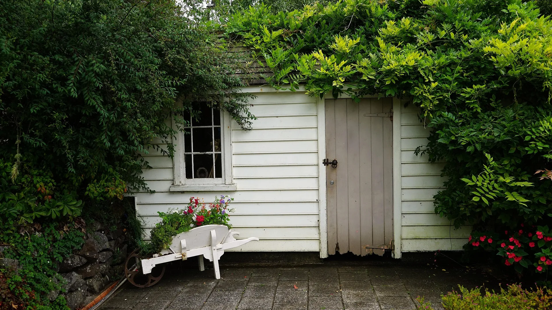 Shed clearance in Callington, cleared shed interior